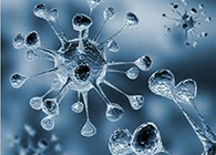 南宫28体内体外药效试验顺遂通过药监局审查