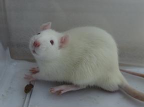 南宫·NG28(China)官方网站-登录入口