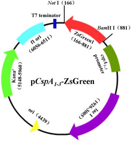 南宫·NG28(China)官方网站-登录入口
