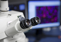 改委监控三类药价，本钱价视察将启动