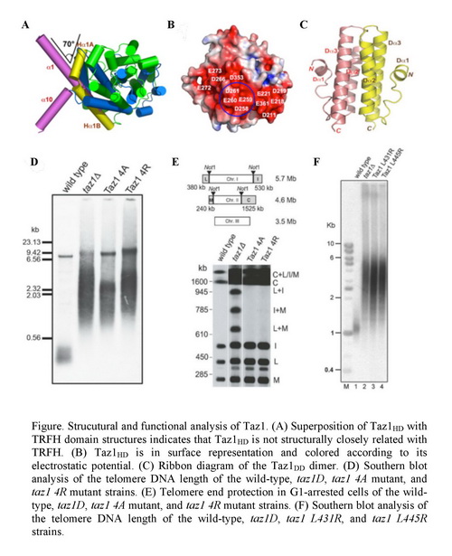 南宫·NG28(China)官方网站-登录入口