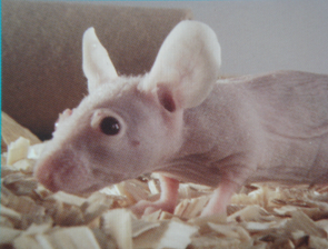 南宫·NG28(China)官方网站-登录入口