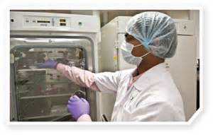 10月17日，陈春麟博士将加入2012岛津全球制药峰会