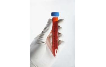 南宫·NG28(China)官方网站-登录入口