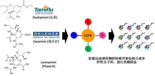 图2：以现有抗流感药物的结构为基础，举行多样性药物分子库的合成。