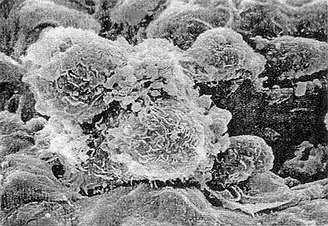 南宫·NG28(China)官方网站-登录入口