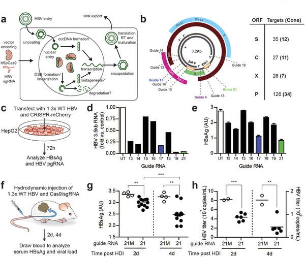 南宫·NG28(China)官方网站-登录入口