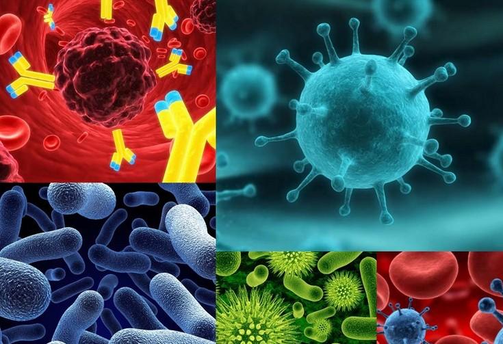 原位杂交手艺的基本流程有哪些？