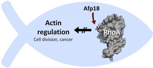 南宫·NG28(China)官方网站-登录入口