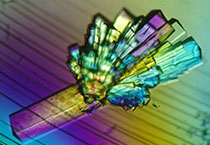 南宫·NG28(China)官方网站-登录入口