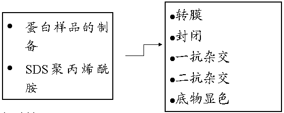 南宫·NG28(China)官方网站-登录入口