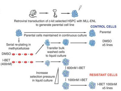 南宫·NG28(China)官方网站-登录入口