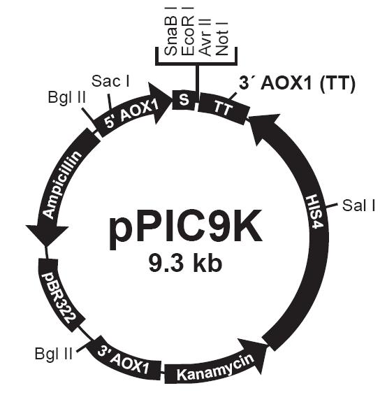 南宫·NG28(China)官方网站-登录入口