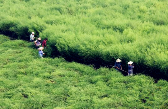 南宫·NG28(China)官方网站-登录入口