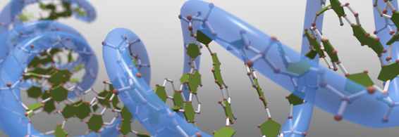 哺乳动物细胞卵白表达效劳