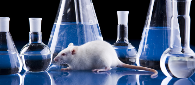 南宫·NG28(China)官方网站-登录入口