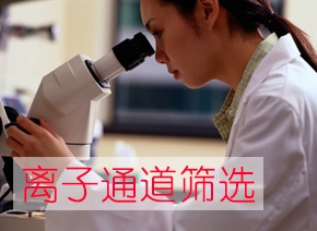 南宫28离子通道筛选效劳