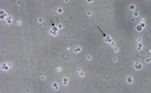 南宫·NG28(China)官方网站-登录入口