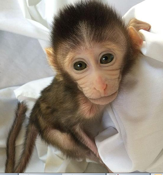 南宫·NG28(China)官方网站-登录入口