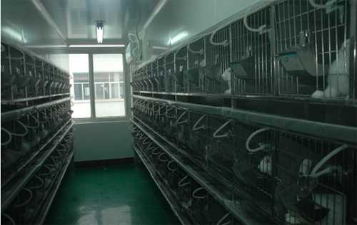 南宫28实验动物房