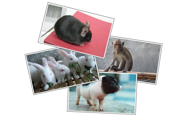 南宫·NG28(China)官方网站-登录入口