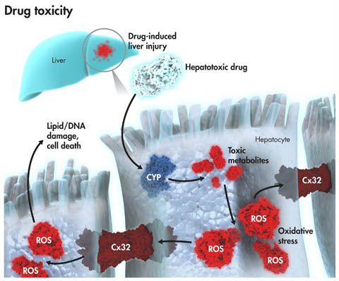 南宫·NG28(China)官方网站-登录入口