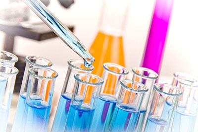 南宫28生物实验