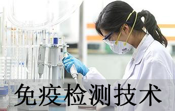 南宫28免疫学检测手艺剖析效劳