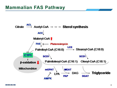南宫·NG28(China)官方网站-登录入口