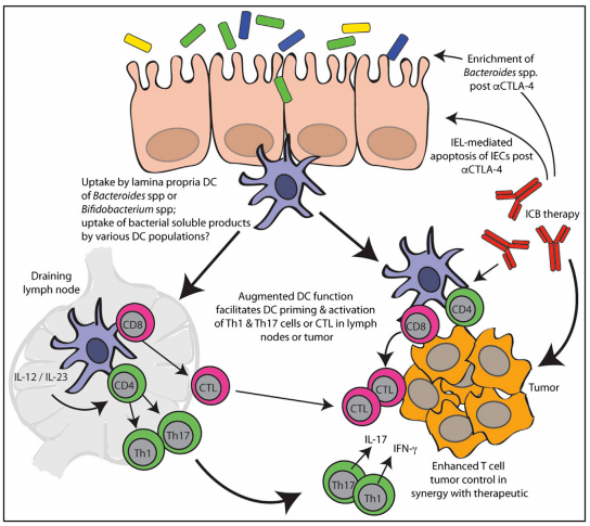 南宫·NG28(China)官方网站-登录入口