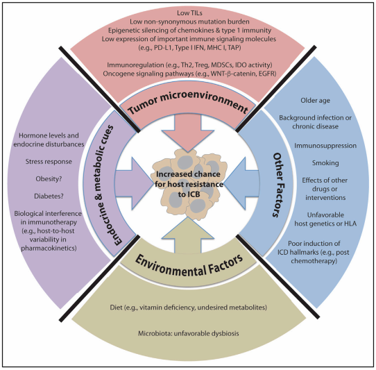 南宫·NG28(China)官方网站-登录入口