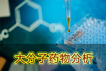 南宫28大分子药物剖析效劳