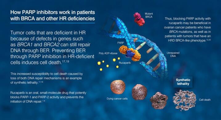 南宫·NG28(China)官方网站-登录入口