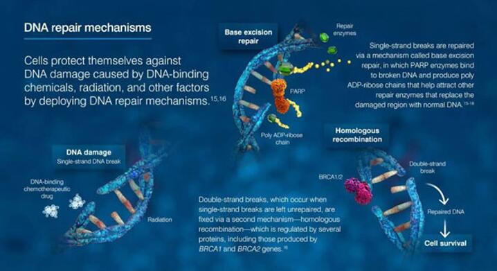 南宫·NG28(China)官方网站-登录入口