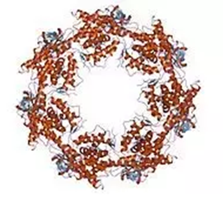 南宫·NG28(China)官方网站-登录入口