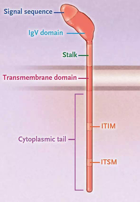 南宫·NG28(China)官方网站-登录入口