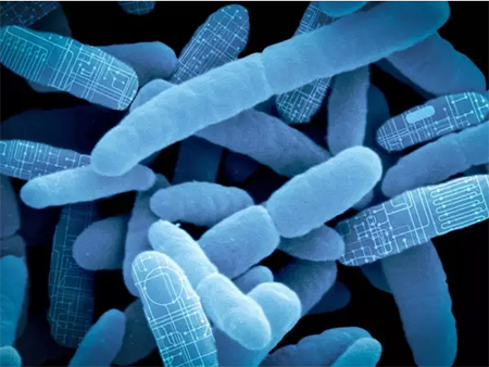 南宫·NG28(China)官方网站-登录入口