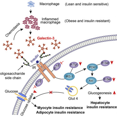 南宫·NG28(China)官方网站-登录入口