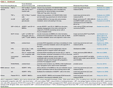 南宫·NG28(China)官方网站-登录入口