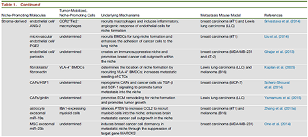 南宫·NG28(China)官方网站-登录入口