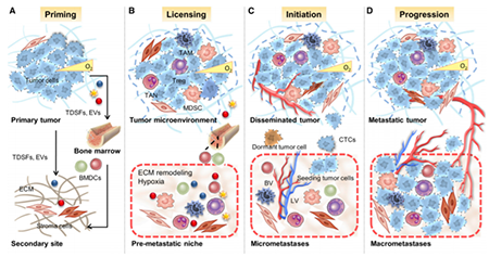 南宫·NG28(China)官方网站-登录入口