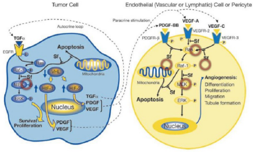 南宫·NG28(China)官方网站-登录入口