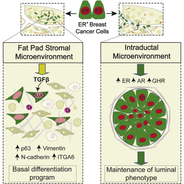 南宫·NG28(China)官方网站-登录入口
