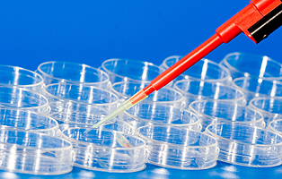 南宫·NG28(China)官方网站-登录入口