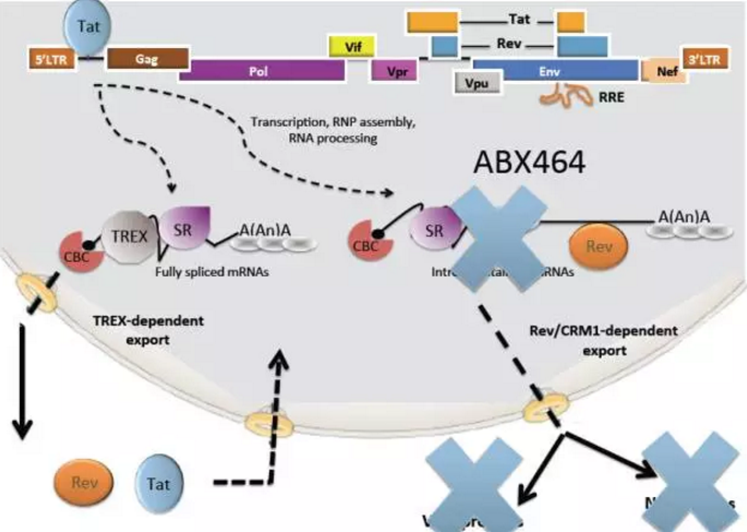 南宫·NG28(China)官方网站-登录入口