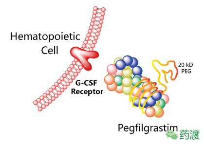南宫·NG28(China)官方网站-登录入口