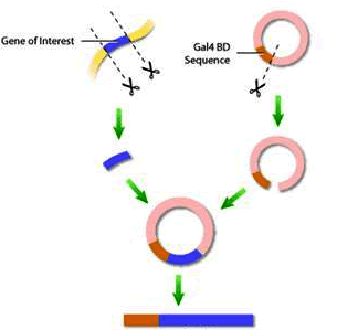 南宫·NG28(China)官方网站-登录入口