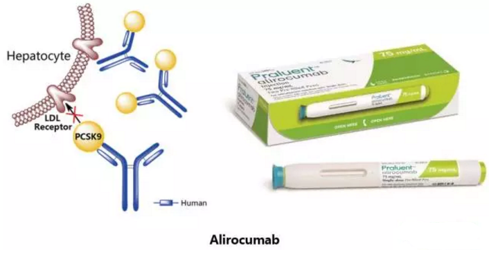 南宫·NG28(China)官方网站-登录入口