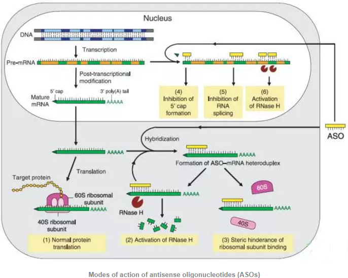 南宫·NG28(China)官方网站-登录入口