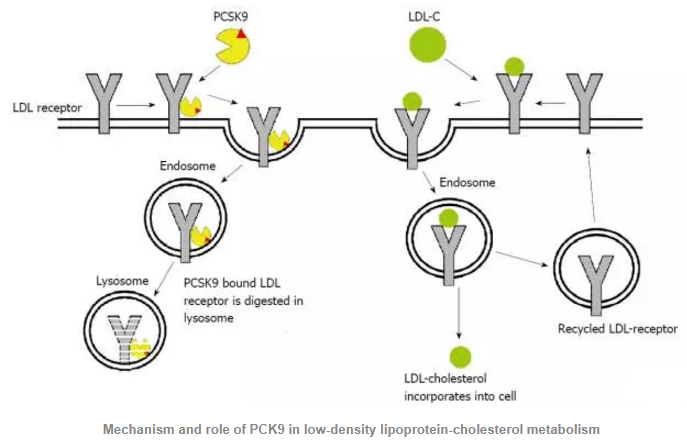 南宫·NG28(China)官方网站-登录入口